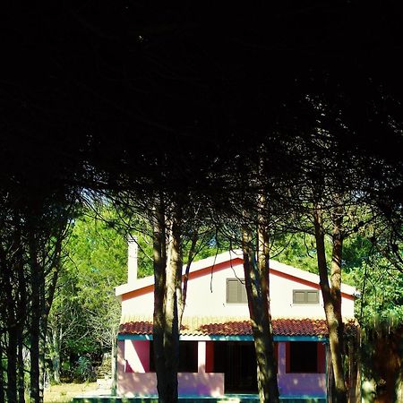 Pineta Spiaggia Grande Calasetta Exterior foto