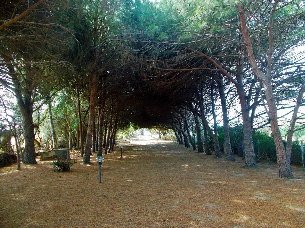 Pineta Spiaggia Grande Calasetta Exterior foto
